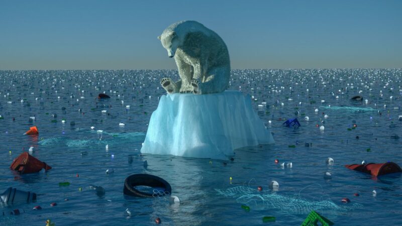 La natura recupera i suoi spazi. “L’impatto Global Warming”