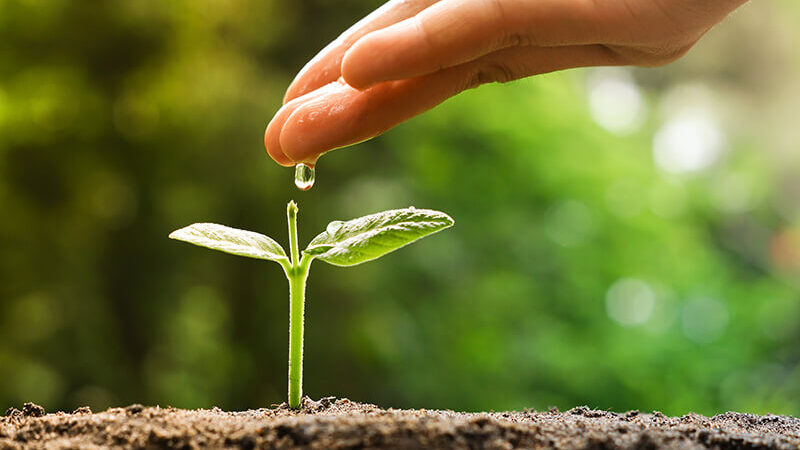 Il continuo Sfruttamento sproporzionato delle Risorse Naturali sono molto preoccupante.