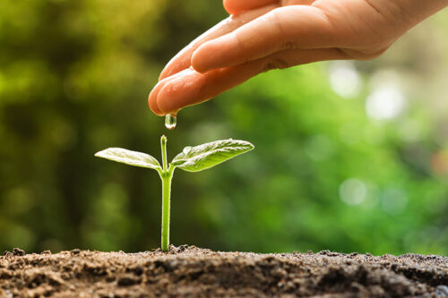 Il continuo Sfruttamento sproporzionato delle Risorse Naturali sono molto preoccupante.